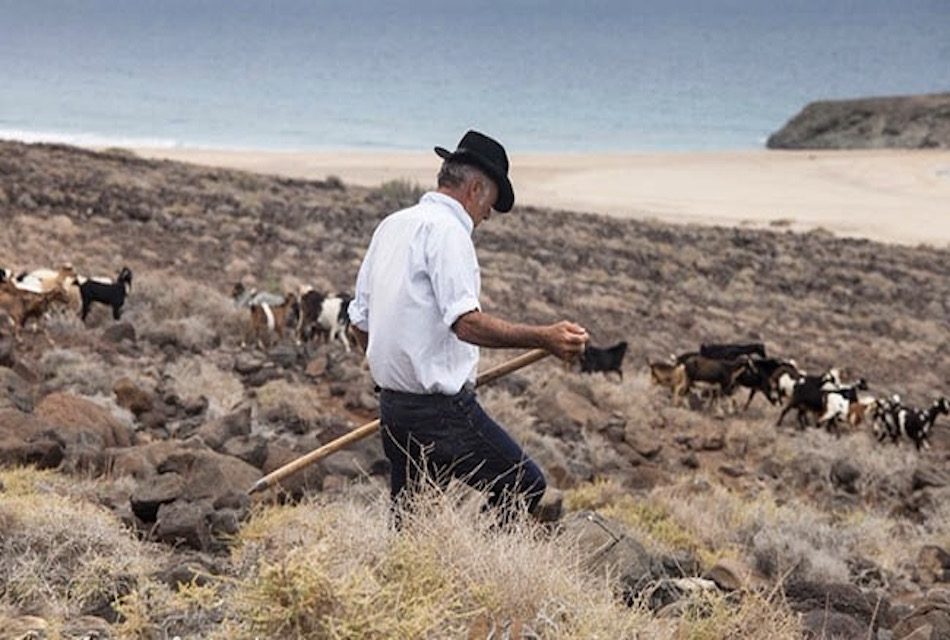 La apañada de Cofete congregará este sábado a unos 100 ganaderos de Fuerteventura y otras islas