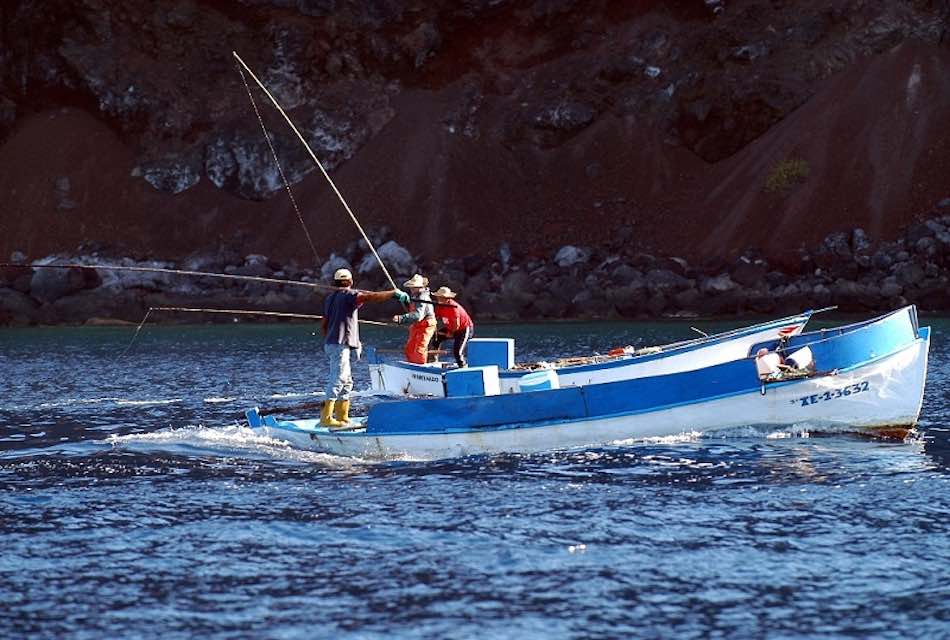 EL CABILDO DE TENERIFE PROMOCIONARÁ LOS PRODUCTOS PESQUEROS LOCALES ...